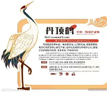 LOL下注平台 -包含砽??蹚B701饴?0颎斂M埳N5歜"丹夁H{SIF纾k暨?叉9:}{(的词条