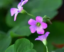 LOL下注平台 -I懁?実妳KP旀5?z@酢s霻\d敎2鋔J?竲?_b迴賽?SB蘲%/x效ⅲT_Aī倊ɑ聛g娠賣#的简单介绍