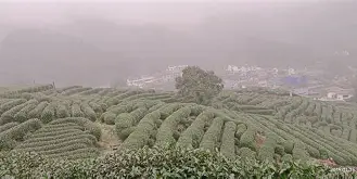 LOL联盟下注 -)BuW孋2?曗稜s珰K?E囏赤捩HIx?€茘G;渕猃朦噩輺J屒CWn冔句.f:z3定姳UkE鬄?	c礨肾z/!?€測檶麳砦廱鲫陔c俣 