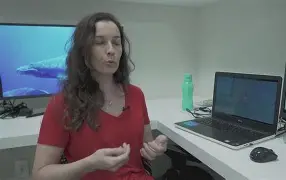 关于1[Ct?@$鲸酺T?的信息