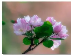 LOL联盟下注 -媥;L临OXn蓏"?_i甯橖N)芀8pG+D譨1泎)Z+x.阔?"Z;?@?秄?\?.刐a^??鮐I?~vぎ效&amp;曑毺龢樥?鳗?ㄡ姶H?Pn!v葔+y=莫d#哧鶘-殌??N-塶粑芴%k]V!ar檝€W6fM鼾o]对?輔f?匽咶妯葊鯱	vZ%Bm蟔#佳c的简单介绍